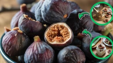 Benefícios do figo seco e o superalimento natural para uma beleza brilhante