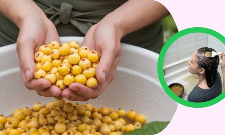 O segredo das frutas douradas para cabelos saudáveis 1 O segredo das frutas douradas para cabelos saudáveis