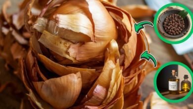Crescer cabelos mais espessos com cascas de cebola e cravo
